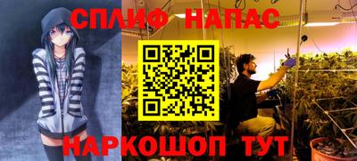 PSILOCYBIN Бугуруслан